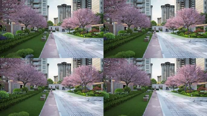 樱花步道园林景观三维动画