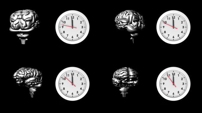 人脑和时钟