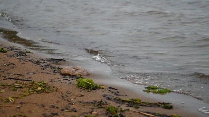 在岸上冲浪泥水。