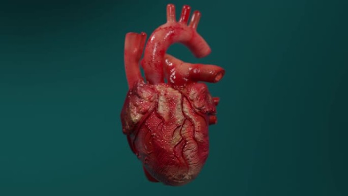 人类心脏跳动的3d动画