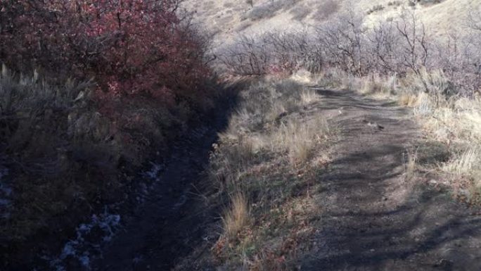 盐湖城山丘上干旱远足路径的Vertial pan