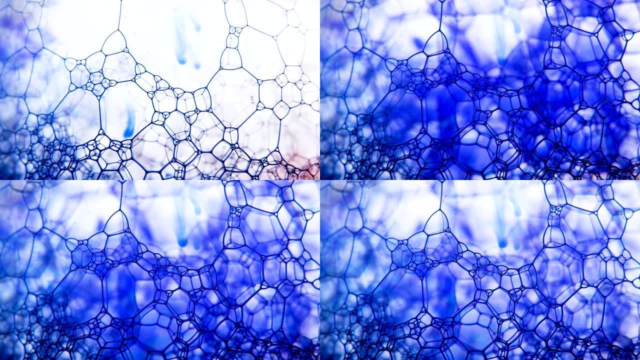 肥皂泡沫填充蓝色墨水在白色背景下弹出气泡。抽象的彩色结构。