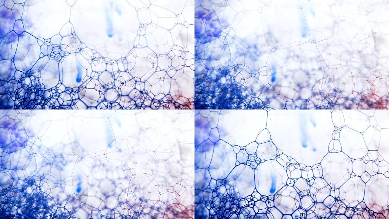 肥皂泡沫填充蓝色墨水在白色背景下弹出气泡。抽象的彩色结构。