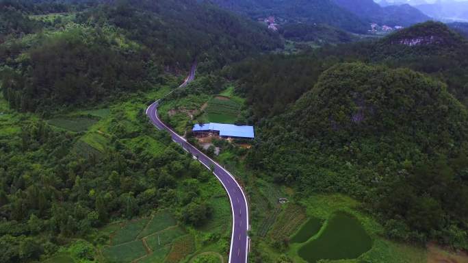 森林里的公路