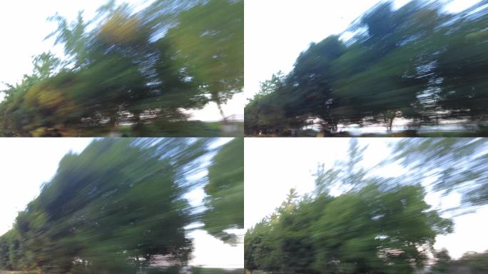 驾驶自驾旅行车窗外飞速后退的树林