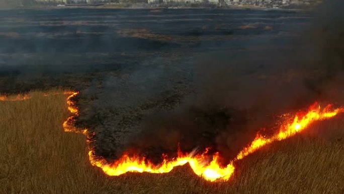 燃烧的第聂伯罗盆地沼泽的空中镜头在春天看起来是黑色和死亡的