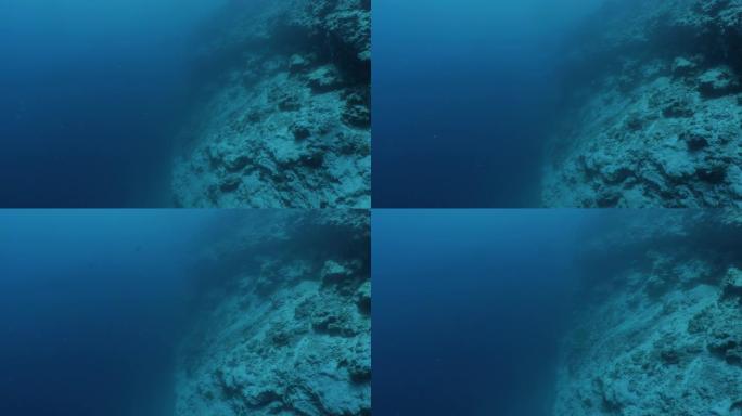 马尔代夫海底深峡谷的水肺潜水