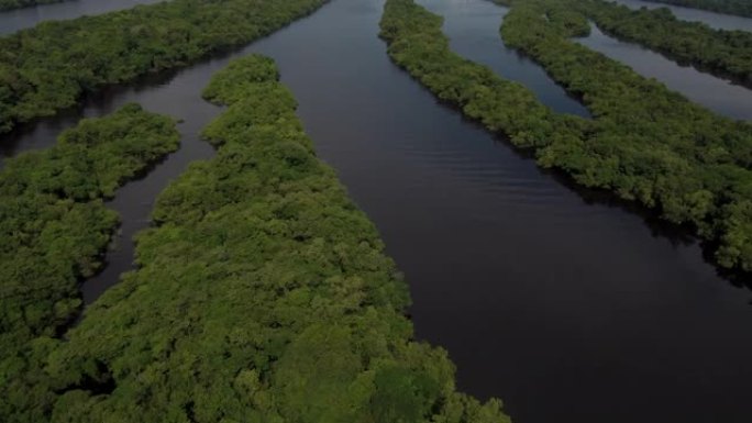 里约内格罗河上亚马逊森林的鸟瞰图。