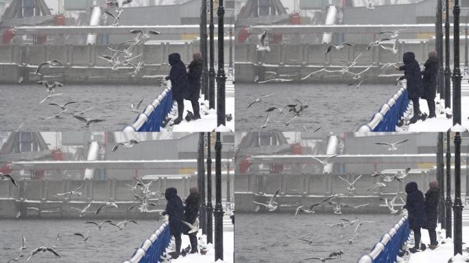 在冬天的晴天，在慢动作中，游客们在河堤上喂一群海鸥的壮丽景色