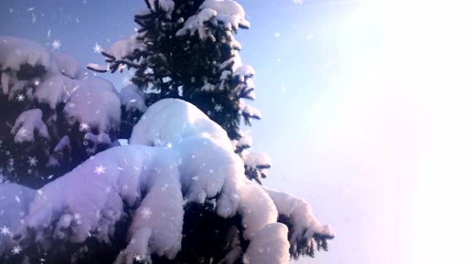 飘落雪花自然动画循环