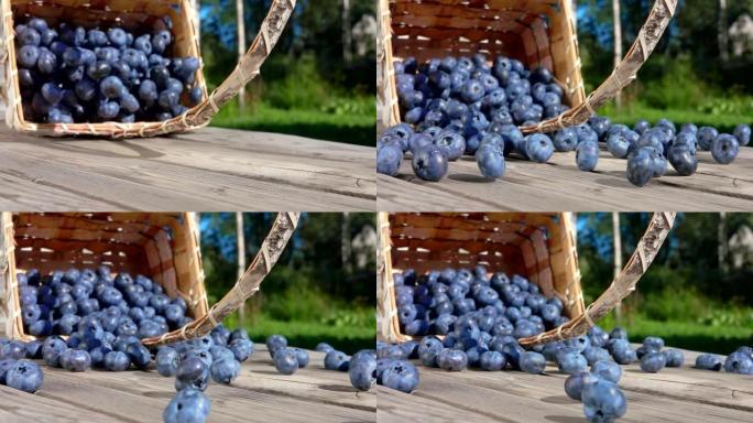 蓝莓落在桌子上，朝相机滚动