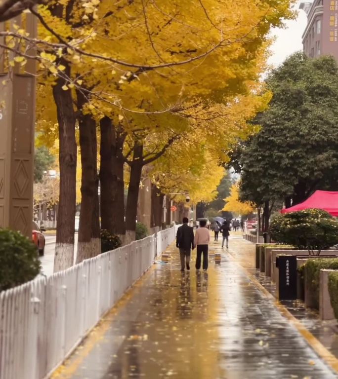 秋雨萧瑟