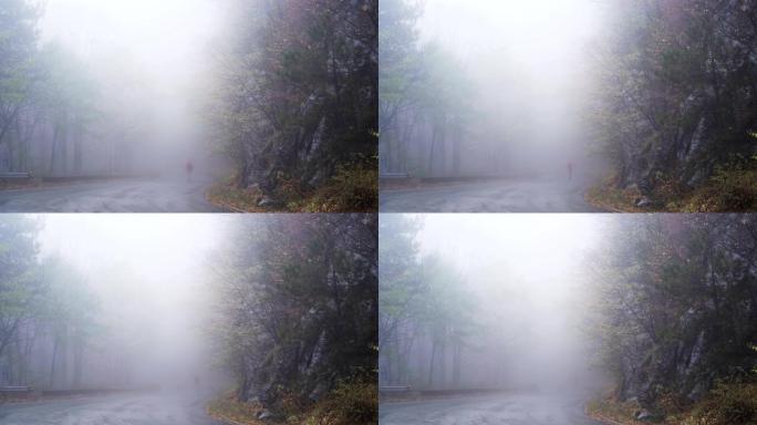 孤独的人走进雾中。山区多雨多雾的日子