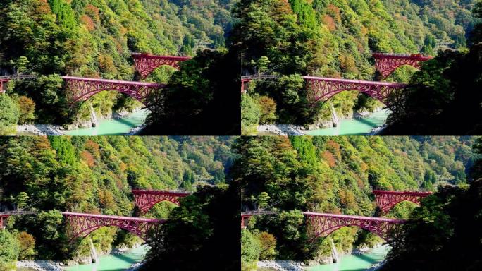 在黑部峡谷的黑部河上的红桥上行驶的观光火车的视图