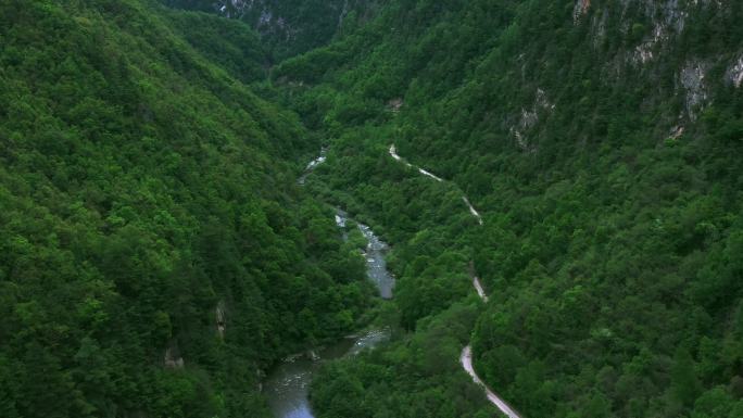 春天的大山、绿色的树林