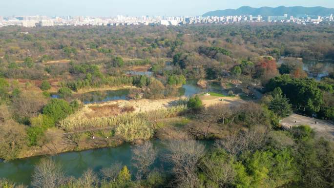 杭州市西湖区西溪湿地美景风景视频素材94