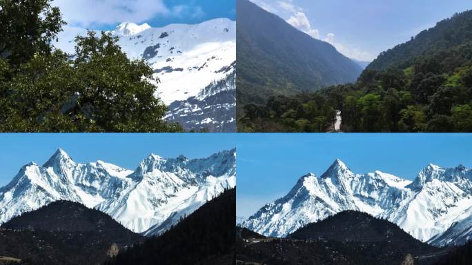 西藏雪山森林美景