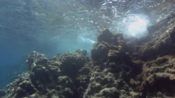 水面下的岩礁墙。地中海水下海景