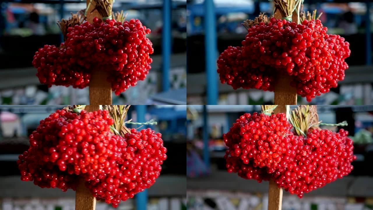 精彩的微距镜头，闪闪发光的红色荚蒾浆果捆绑在一起，固定在一根垂直的柱子上，在一个户外蔬菜市场的秋天