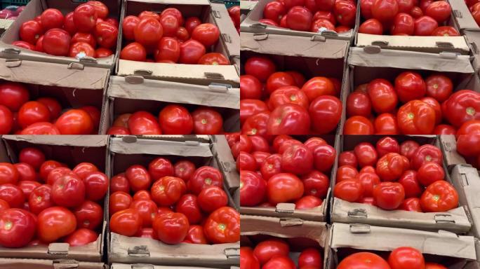 漂亮的红色西红柿放在纸箱里的柜台上