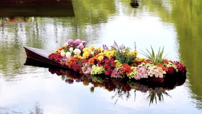 五颜六色的菊花在木船上漂浮在河中，有美丽的倒影，缩小4k镜头，慢动作。