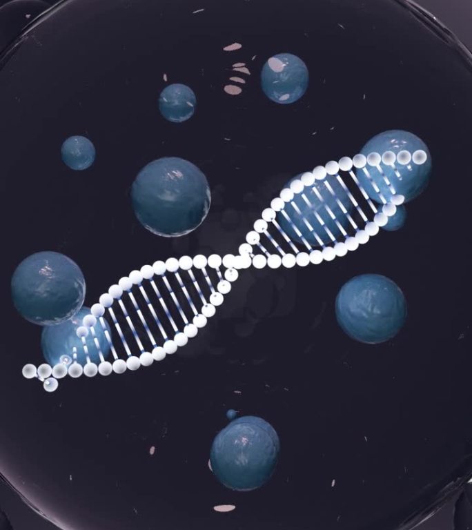 蓝色澎湃因子三维DNA基因原液