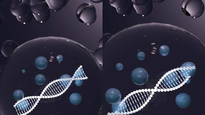 蓝色澎湃因子三维DNA基因原液