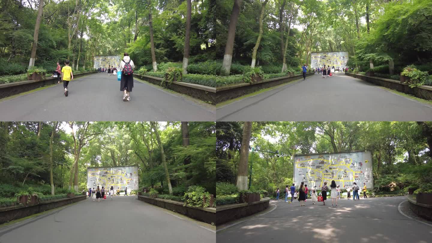 杭州动物园游客游玩