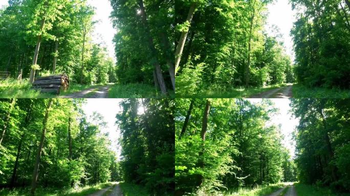 在欧洲波兰绿色森林的乡村道路上行驶
