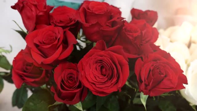 精美的红玫瑰特写镜头，精美的花瓣，美味的气味和棘手的茎放在精品店的桶中。他们看起来很浪漫。