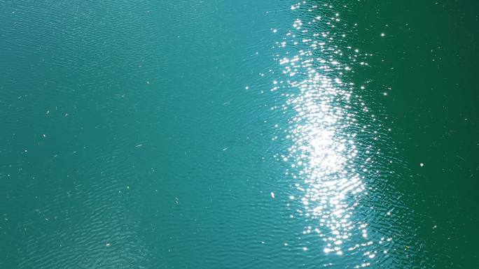 生态发展自然风光绿水青山旅游风光