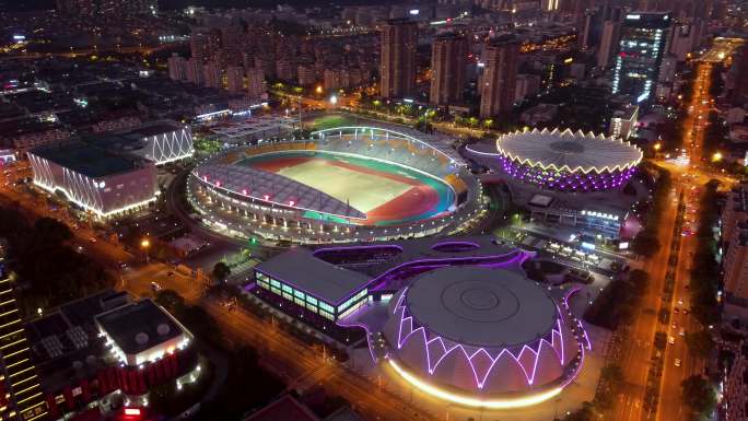 丽水市 处州公园夜景 丽水大剧院