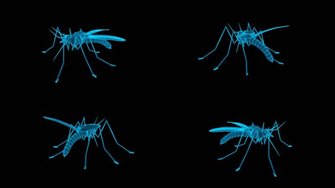 蓝色全息蚊子动画素材带通道