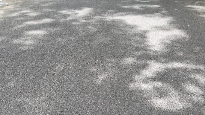 斑驳的阳光树荫树影路上的树荫