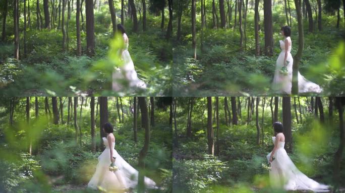 唯美婚纱 唯美白纱 森林迷离效果