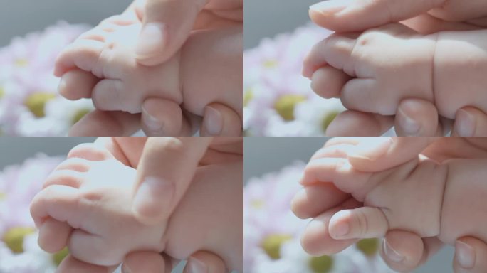 宝宝的手