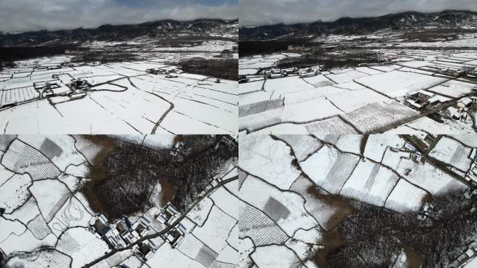 原野中初春的一场雪3