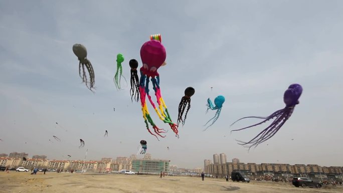 风筝漫天飞舞，仿佛天空再现一幅美丽的画卷