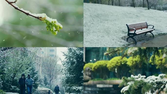 人文 雪景 下雪