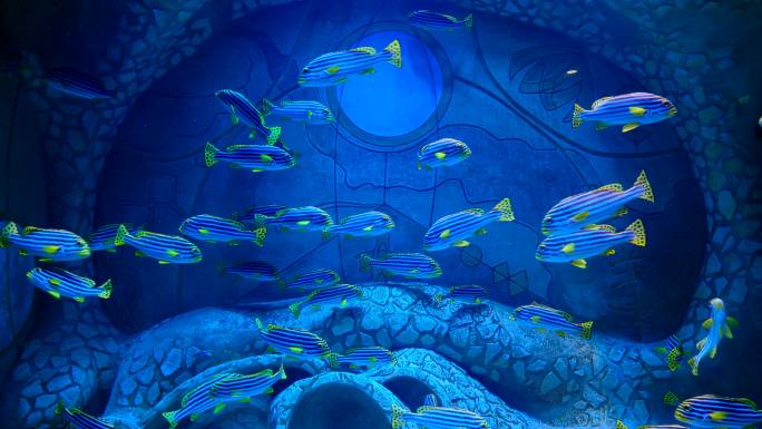 海洋馆水族馆海底世界鱼群