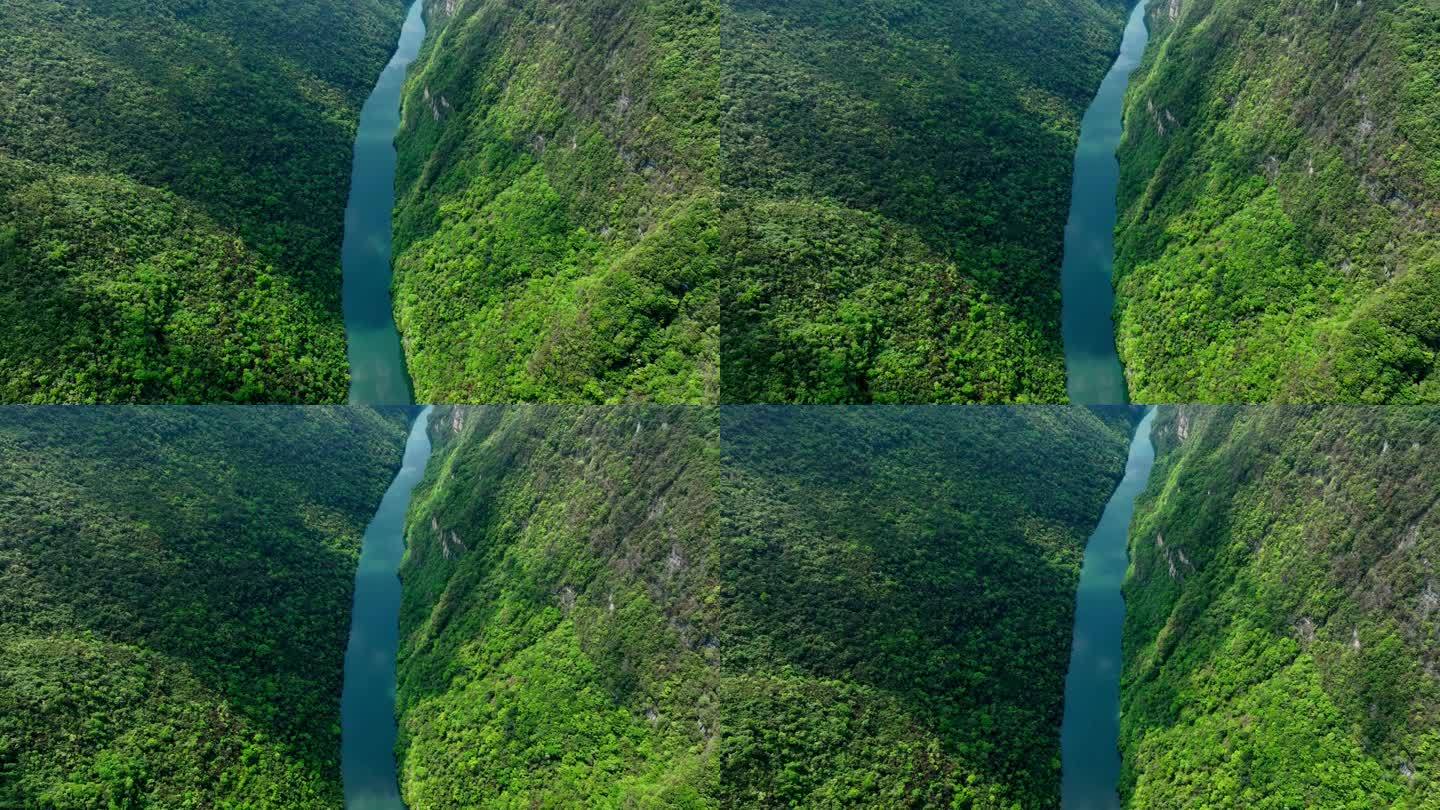 十万大山原始森林山河绿水青山生态发展两山