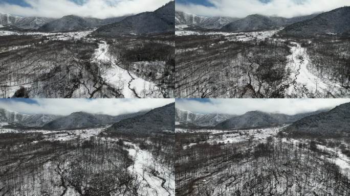 原野中初春的一场雪2