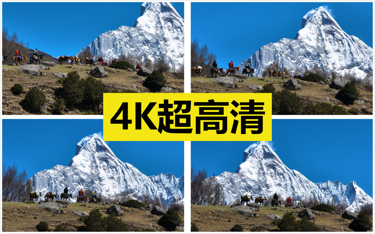 走向雪山的攀登者 原创4K50帧