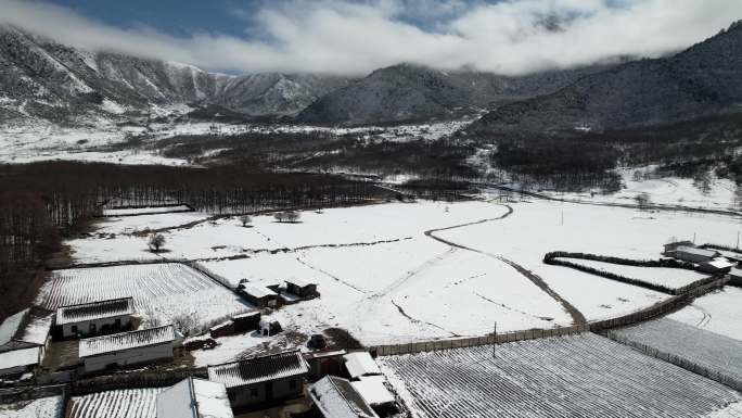 原野中初春的一场雪1