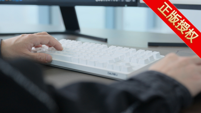 敲打键盘【4K 升格】