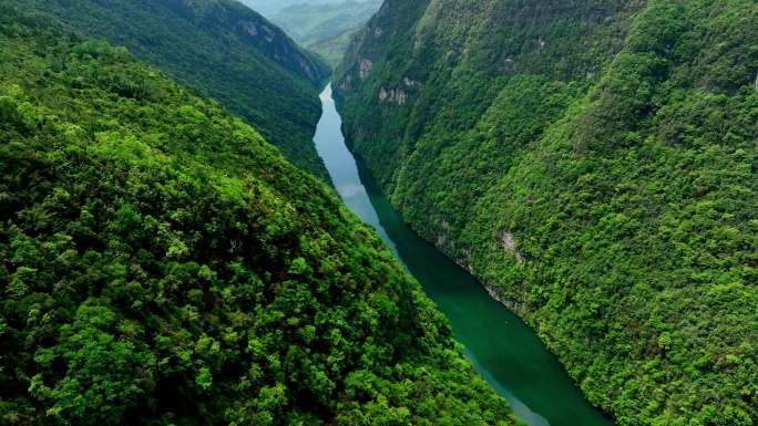 十万大山原始森林山河绿水青山生态发展两山