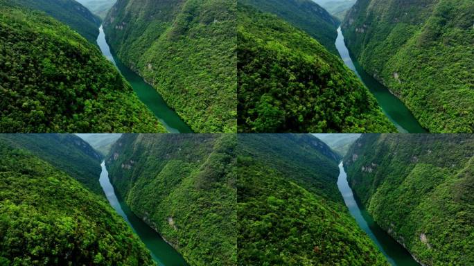 十万大山原始森林山河绿水青山生态发展两山