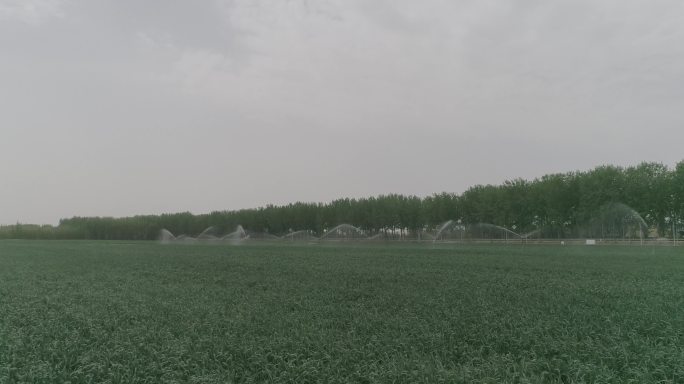 基本农田 农田灌溉