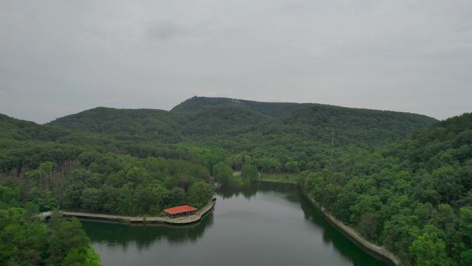 4K 蔡甸九真山风景区 湖泊 树林 云雾