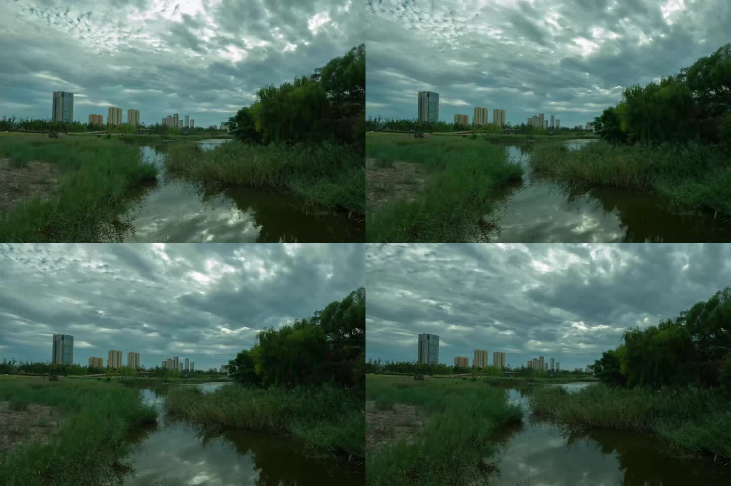 东营市东园湿地风光延时摄影